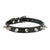 1 Row Cute Rivets Studded Dog Collar