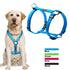 Reflective Nylon Dog Harness