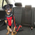 Car Seat Dog Harness and Leash