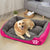 Waterproof Dog Bed