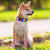 Nylon Dog Reflective Collar