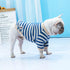 Striped Dog Clothe