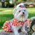 Summer Dress Pet Cloth