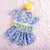 Summer Dress Pet Cloth