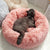 Super Soft Cat Bed