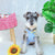 Cute Summer Plaid Dog Cloth