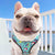 Cute Colorful Dog Harness