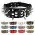 2 Inch Wide Spiked Dog Collar